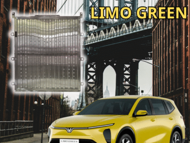 Tấm ốp bảo vệ PIN LIMO GREEN